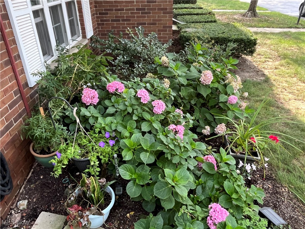 Addington Place Condo - Residential