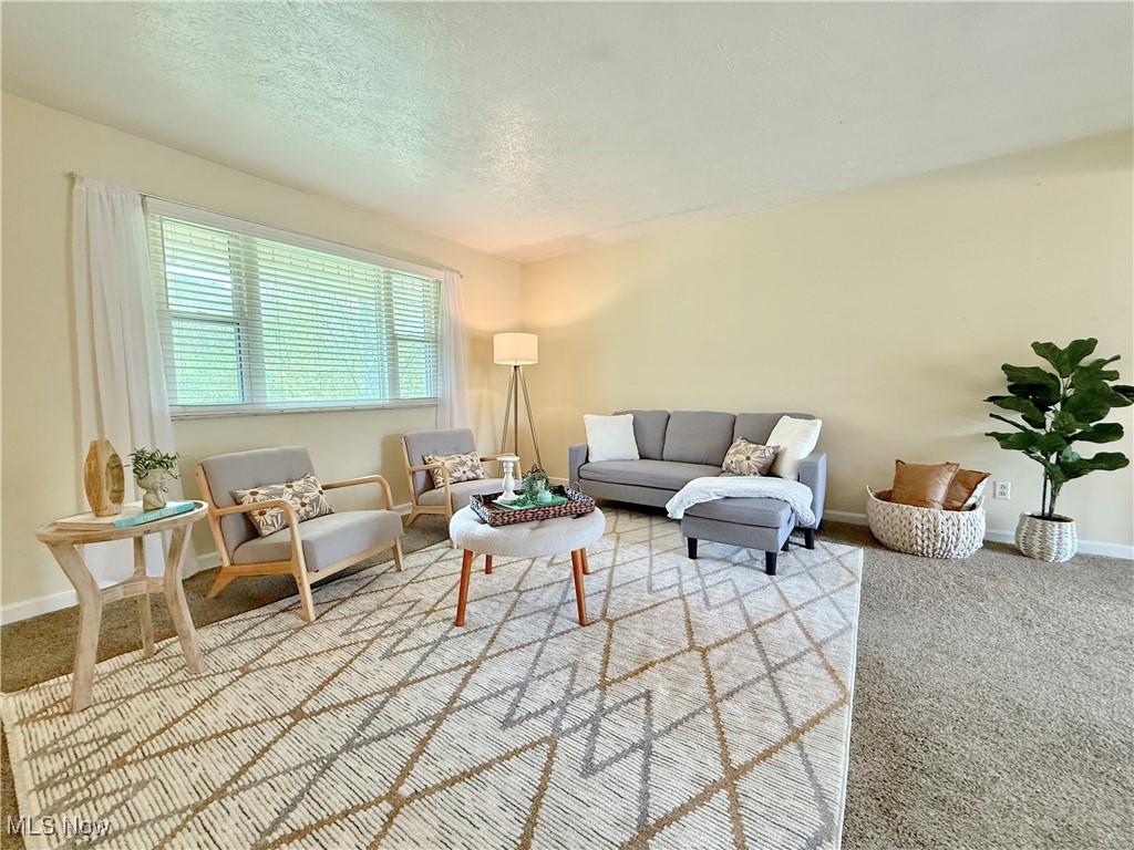 407 Keller Lane, Williamstown, West Virginia image 4