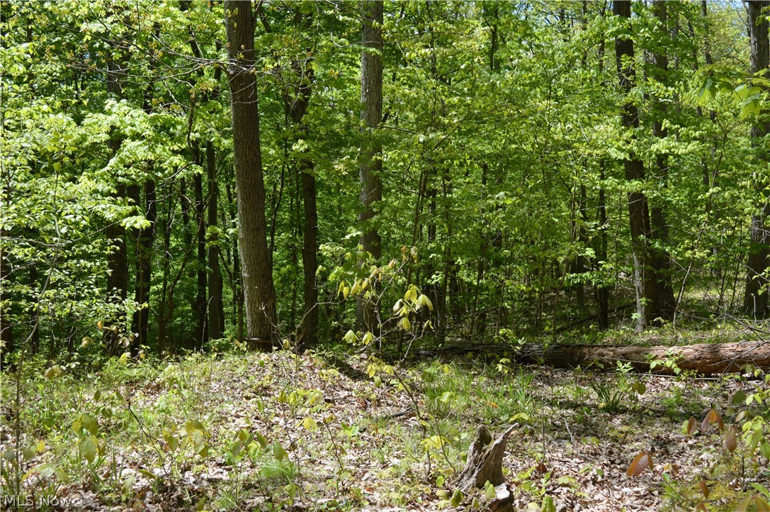 Ten Acre Wooded Building Lot- Quiet country neighborhood. Two great lots offered in a single tract. Mineral Rights (OGMs) reserved.