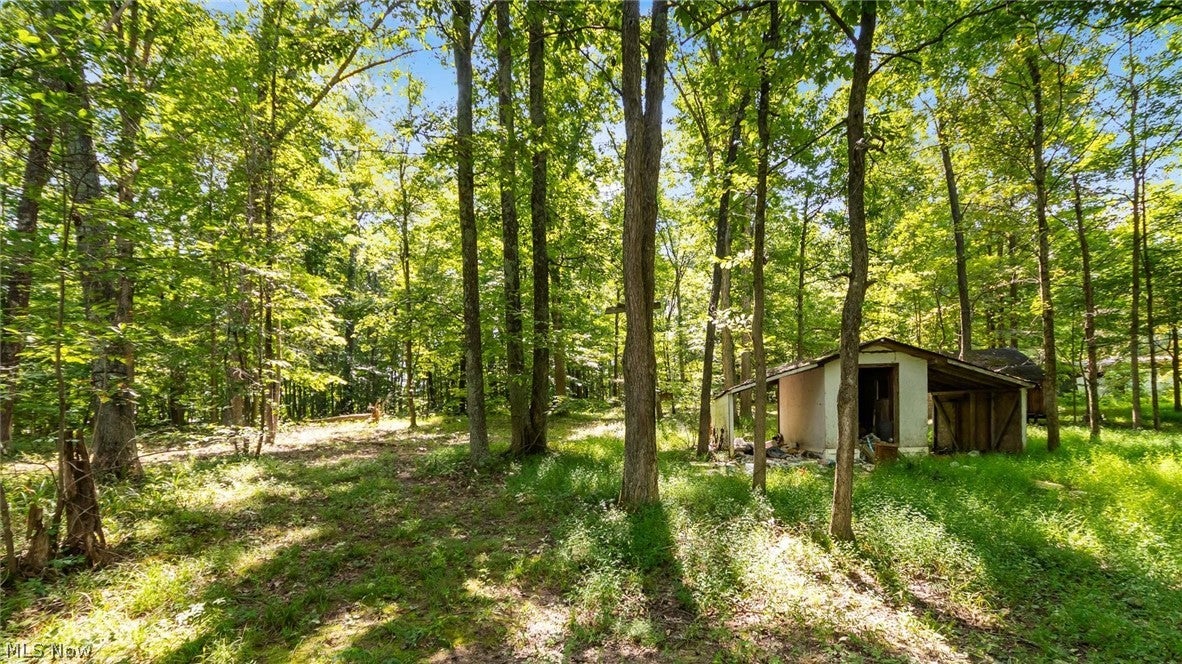 3508 Left Fork Road