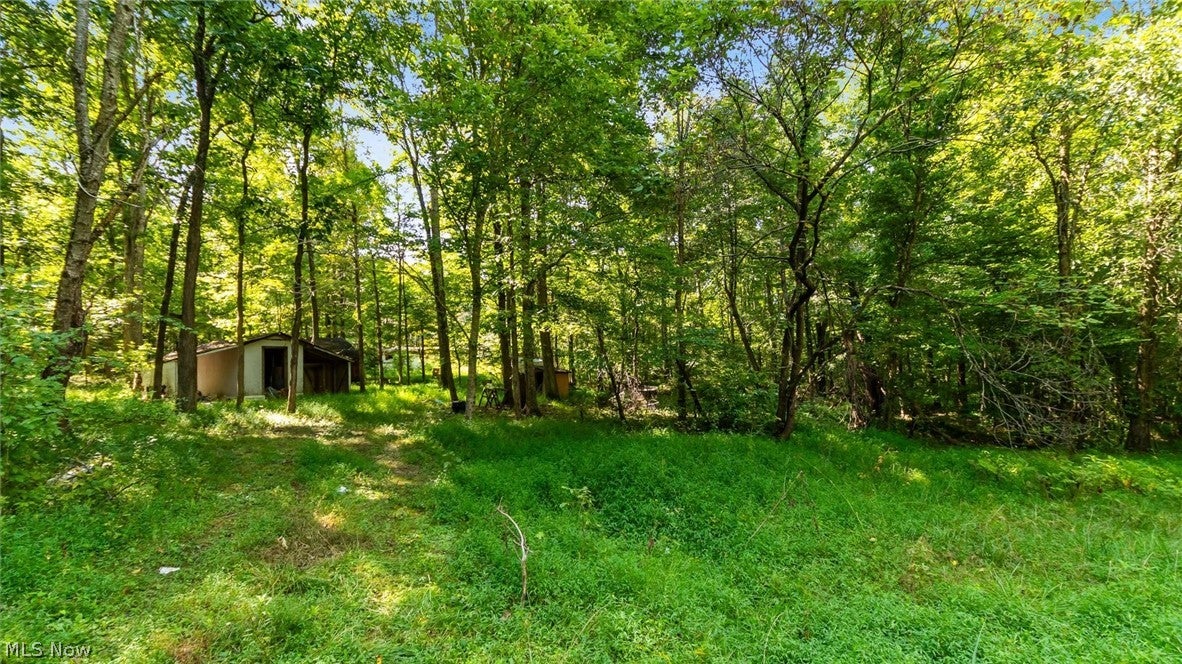 3508 Left Fork Road