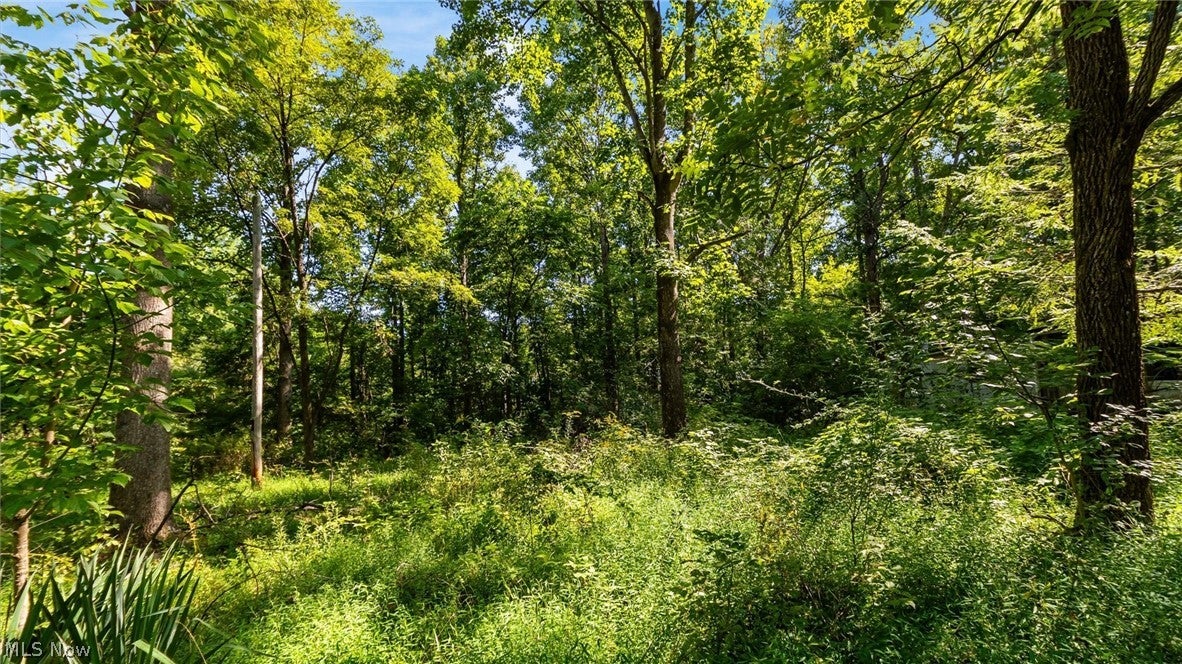 3508 Left Fork Road