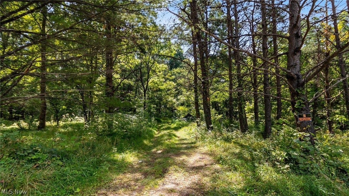 3508 Left Fork Road