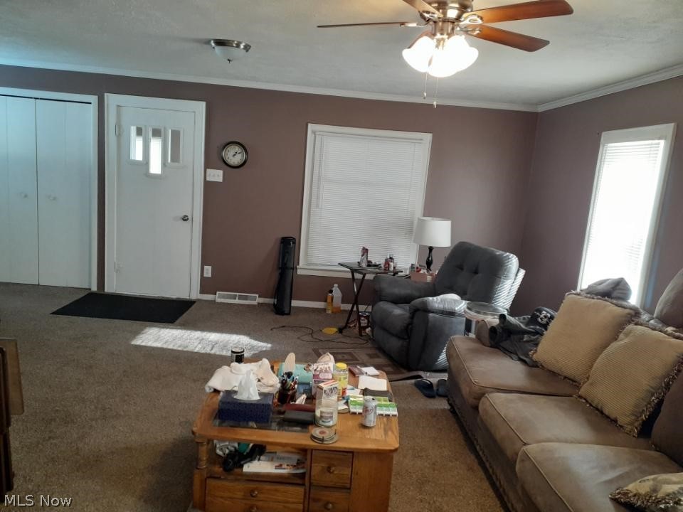 Suburban Gardens Allotment - Residential