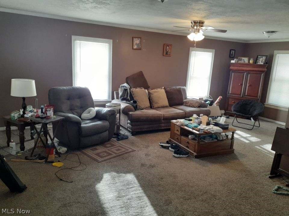 Suburban Gardens Allotment - Residential