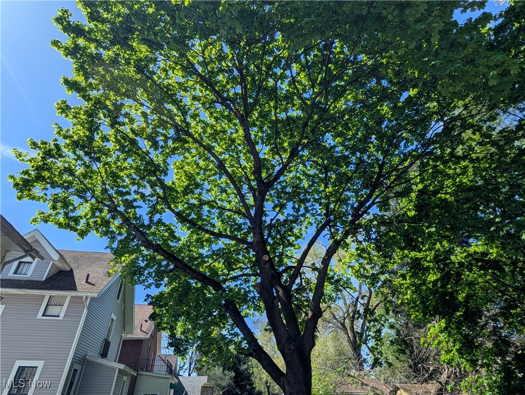 Collinwood Allotment/W T Sawye - Residential