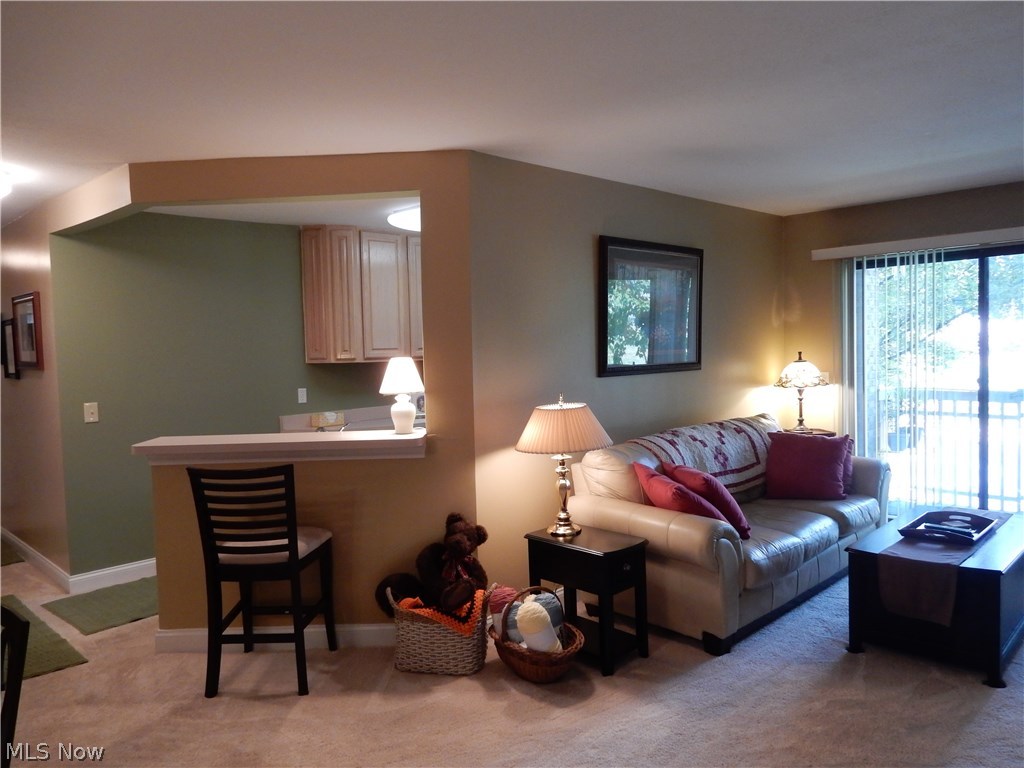 Enclave/Rosemont Rdg Condo - Residential