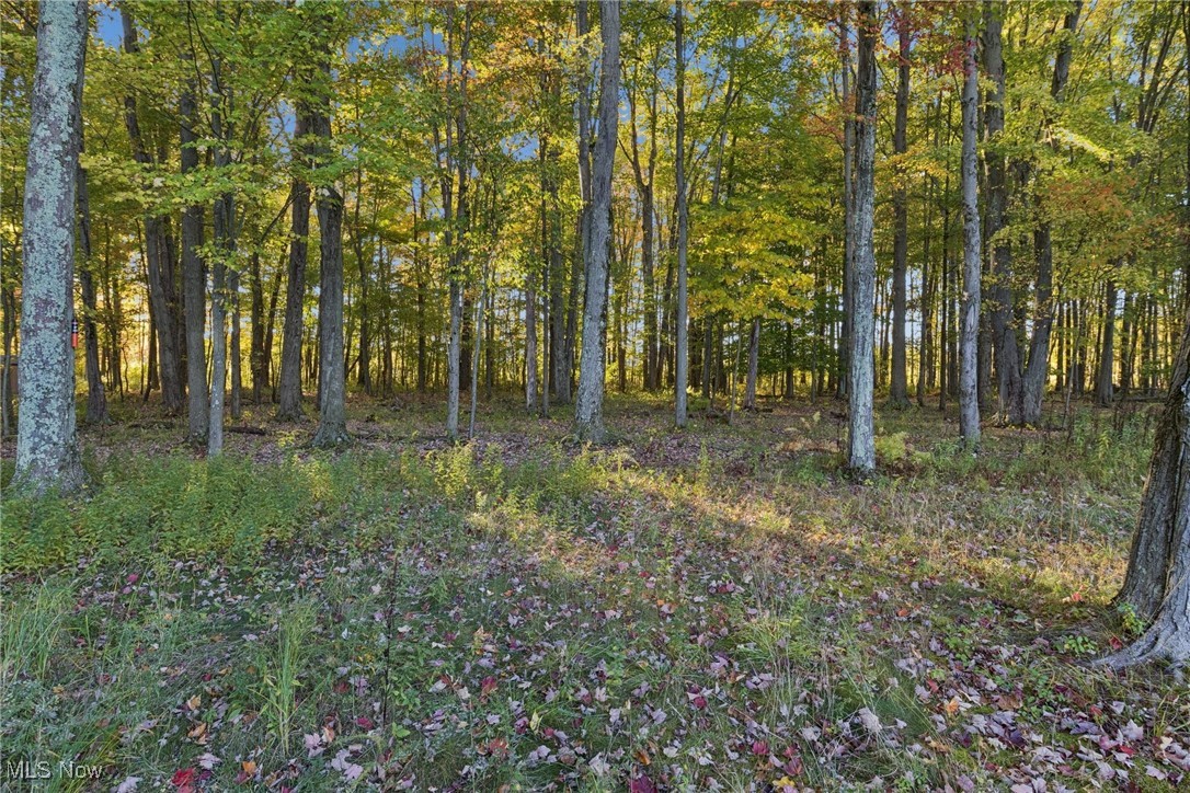 Country View Allotment - Residential
