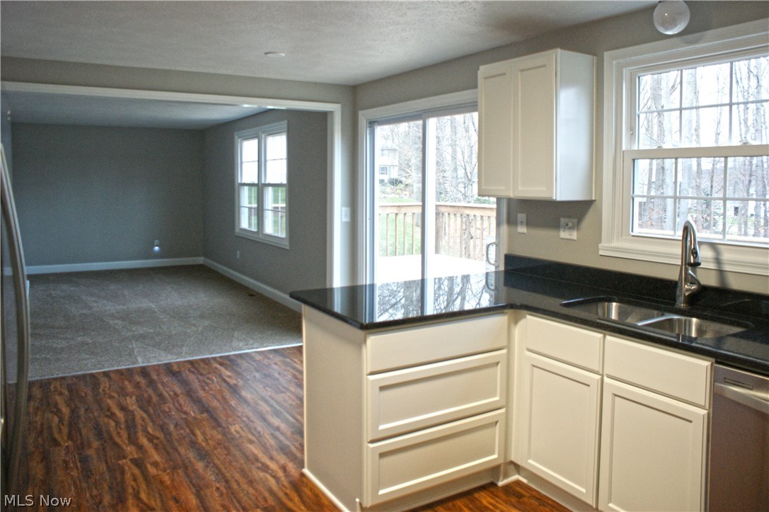 Silver Springs - Residential