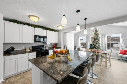 Tiny photo for 3502 Magnolia Drive, Lorain, OH 44053 (MLS # 5179538)