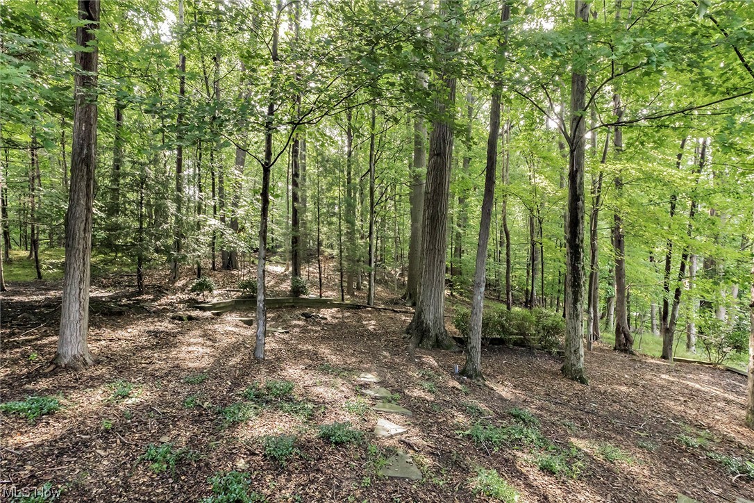 Senlac Hills - Residential