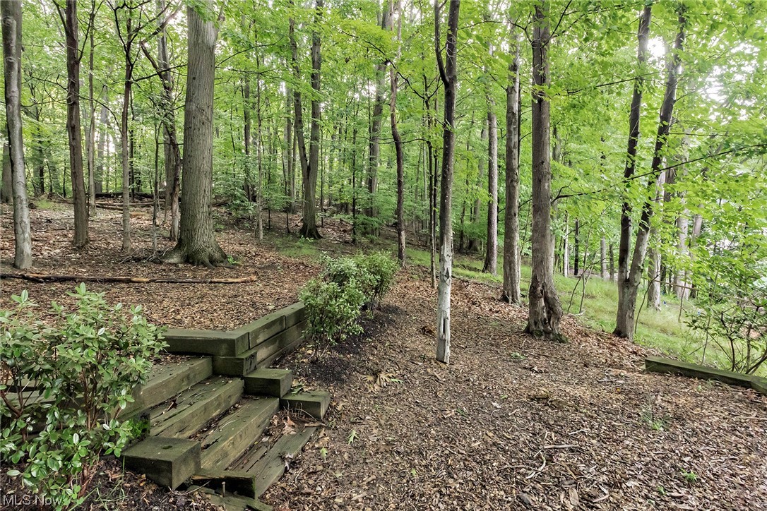 Senlac Hills - Residential