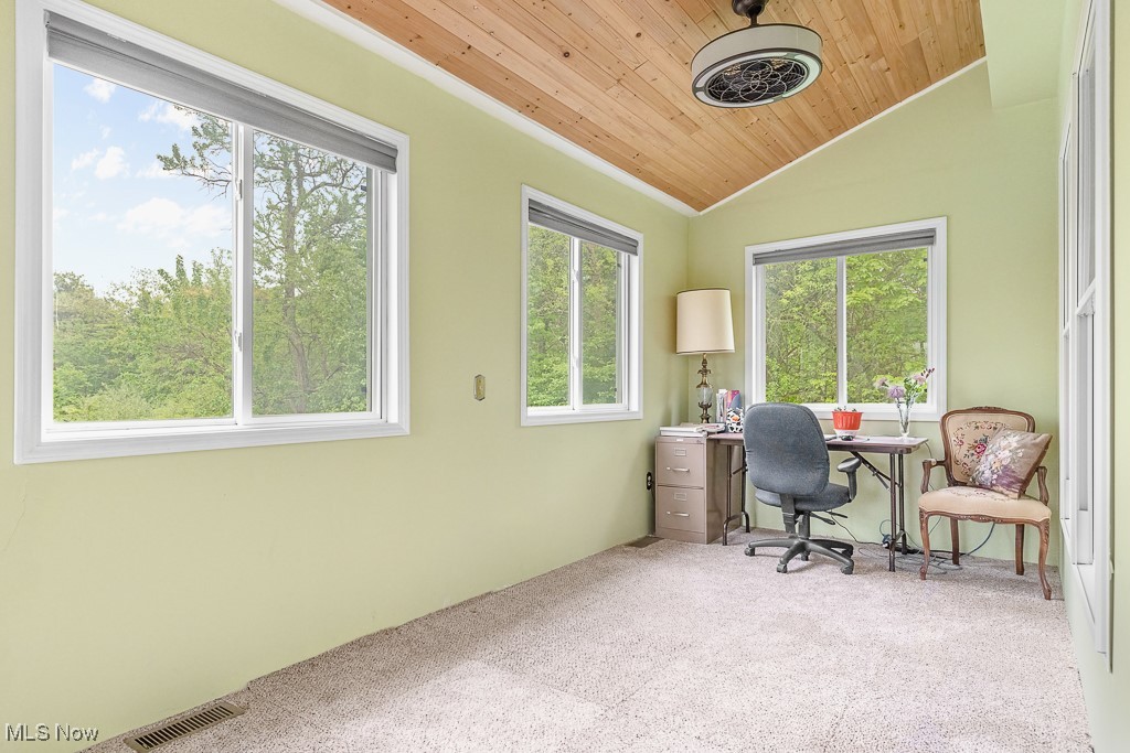 5215 Kapok Drive, Medina, Ohio image 32