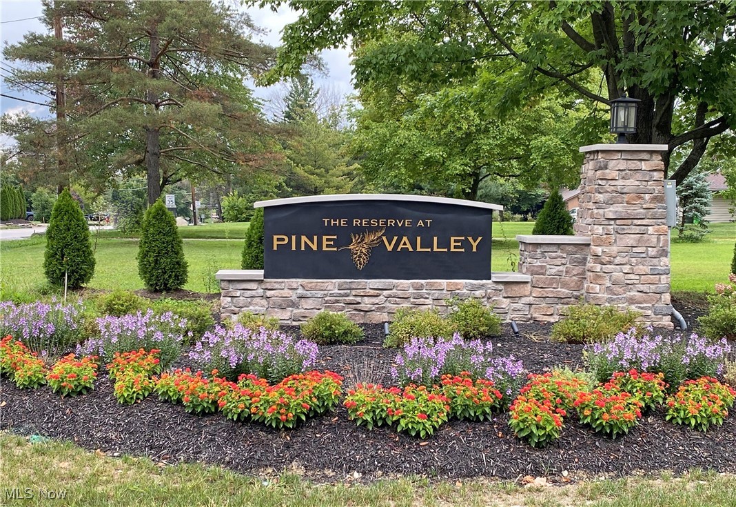 The Reserve at Pine Valley - Residential