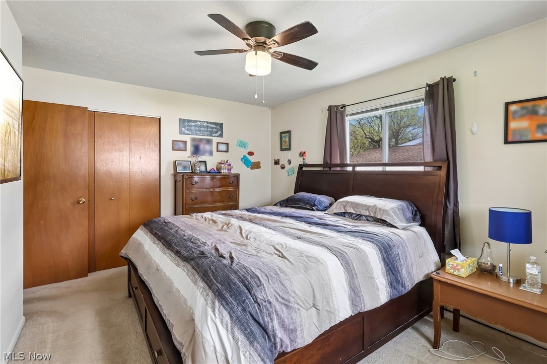 Rose Tree Sub 2 - Residential