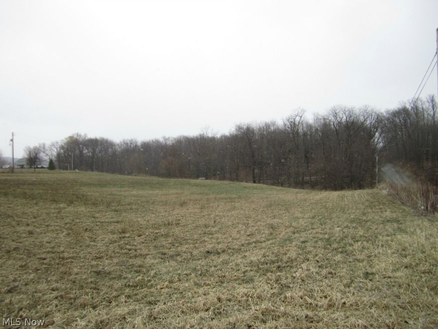 Build your dream home on this partially wooded 3.54 acre lot in Triway Schools! Walkout basement possibilities. No mobile homes.