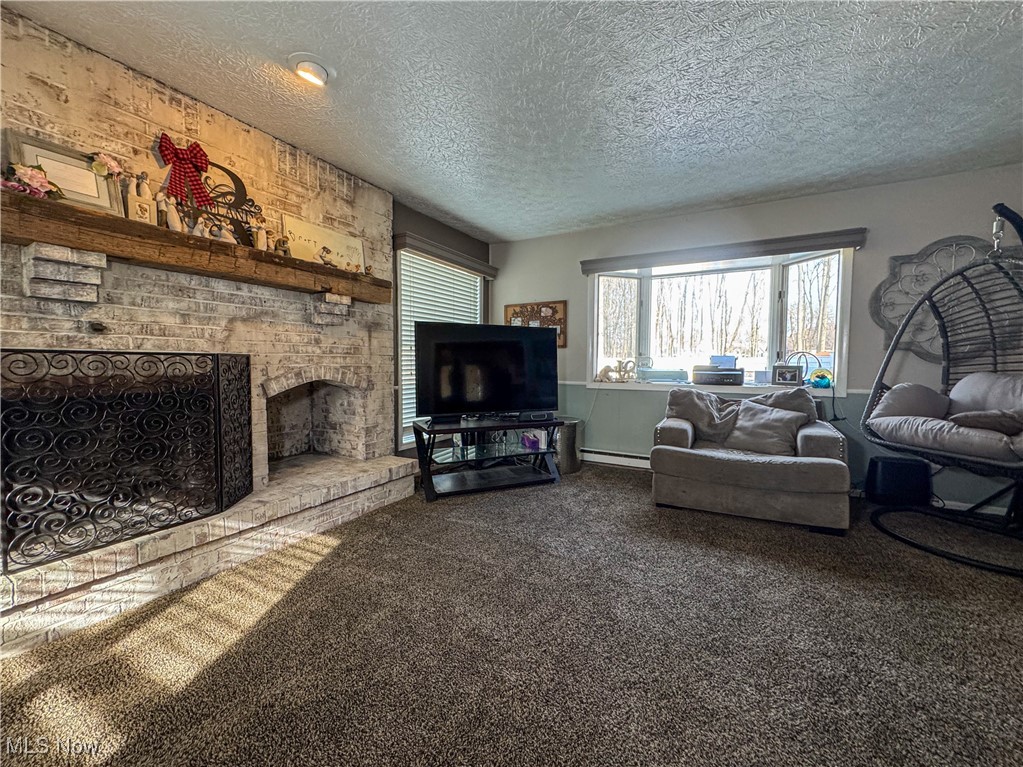 172 Winter Lane, Cortland, Ohio image 10