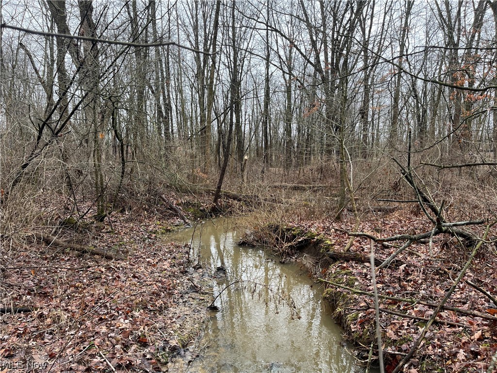 Gallagher Road, North Benton, Ohio image 3