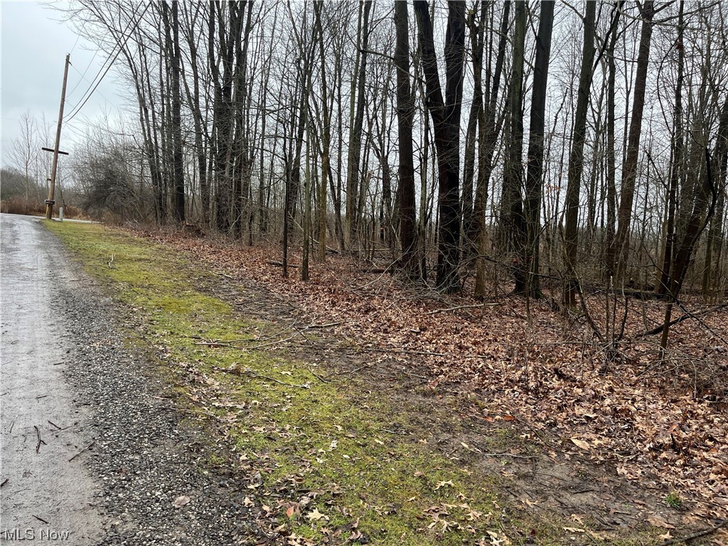 Gallagher Road, North Benton, Ohio image 4