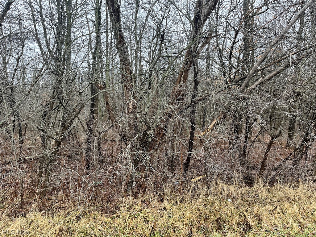 Gallagher Road, North Benton, Ohio image 1