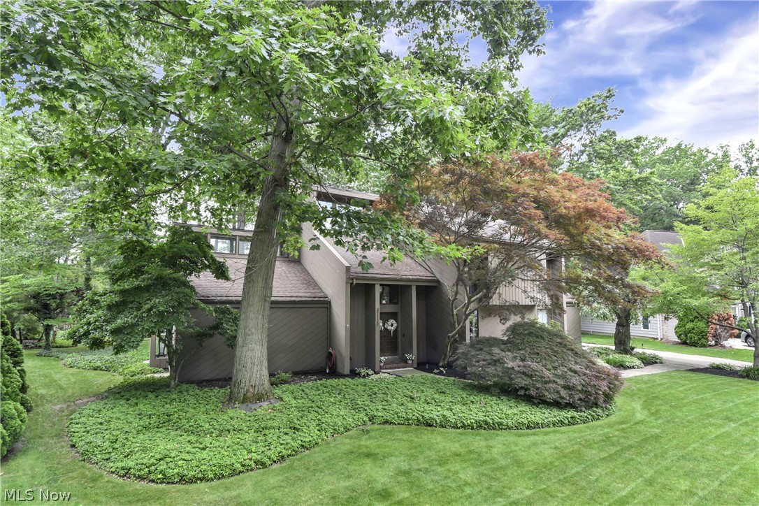 31115 Roxbury Park Drive