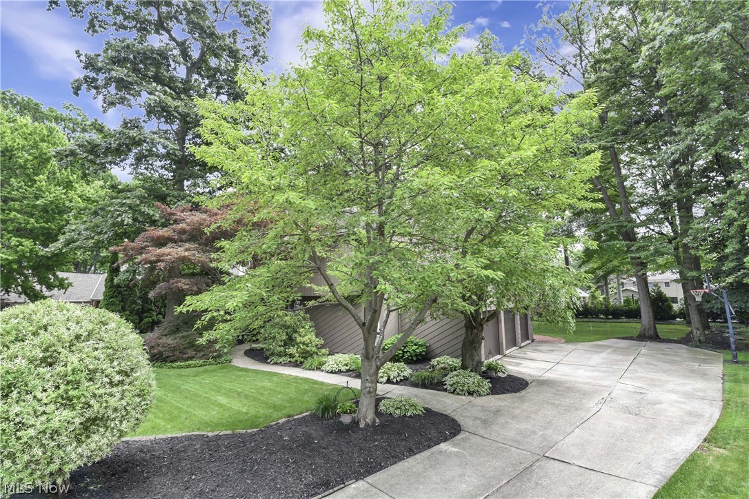 31115 Roxbury Park Drive