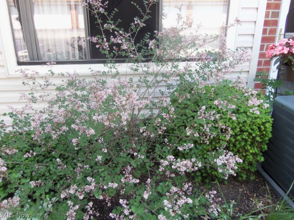 Hyde Park - Residential