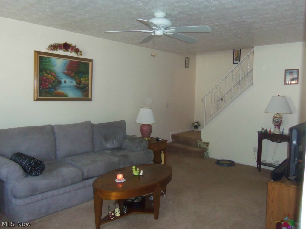 Hyde Park - Residential