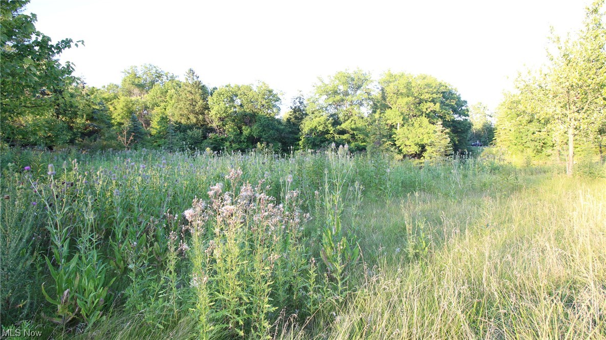 Whispering Woods Sub Ph III - Land