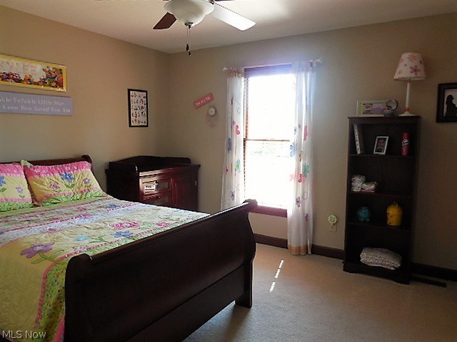 Creekside Rdg Conservation PUD - Residential