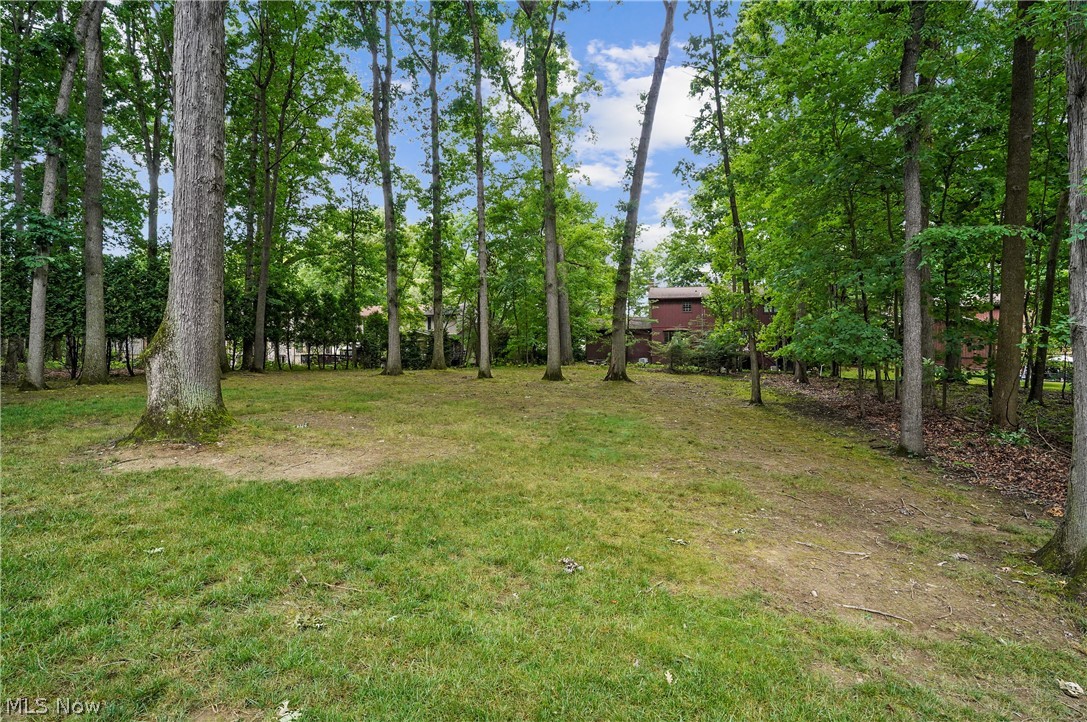 Silver Lake Woodlands - Residential