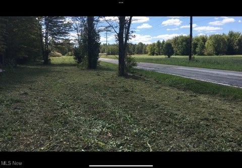 Vacant Land For Sale - Bates Road<br/> Lake County, Madison, OH 44057