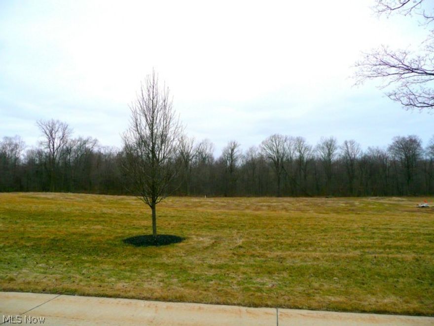 1.5 acre lot in well desired development. Have the feeling of country but still the luxury of country living and convenience too! Sought out Greystone Pointe with few lots left and S/L 13 being one of the most desired lots will accommodate a walk-out basement and is located in back of the development. One of the few neighborhoods that allow for outbuildings. Whether you have Big Boy toys or like to build things with your hands or just like to store stuff....Come take a look. Close to I90, Rt 2, Cleveland and Erie....There is a lot to be said for LOCATION!