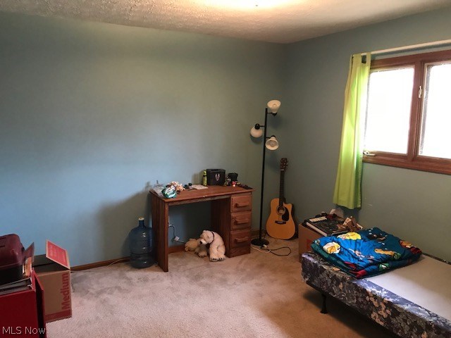 Webster Woods - Residential