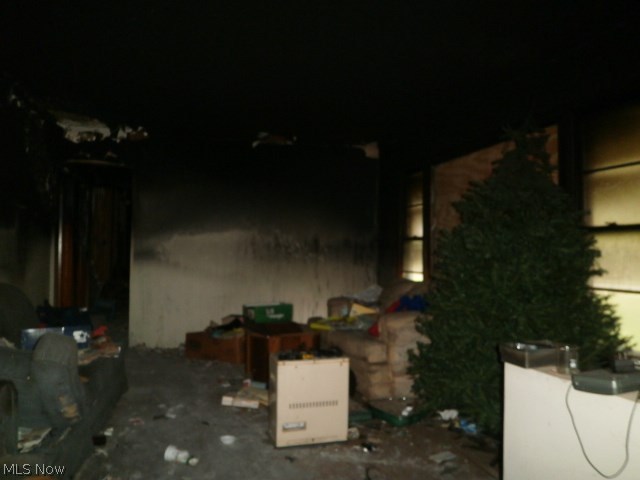 Original Painesville Township 04 - Residential