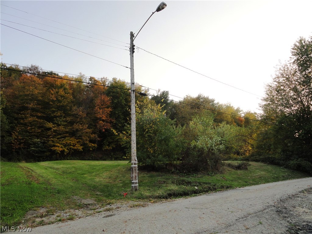 Great Opportunity to Build your own home on a nice Hillside lot of 1.33 Acres. Great view of the Village of Waynesburg and beyond. Public Water and Sewer are available at the Right of Way. Large lot with approximately 0.25 acres of woods. On the hill behind Cibo. Offers must be submitted to the Listing Agent. Contact listing agent for property details. After offer submission, it may take up to 7 calendar days for offer decision. Communication will be sent to buyers with results & next steps for the accepted offer. Bank of America, N.A. associates, household members and business partners are prohibited from purchasing REO properties, either owned or serviced by the Bank, whether directly or indirectly.