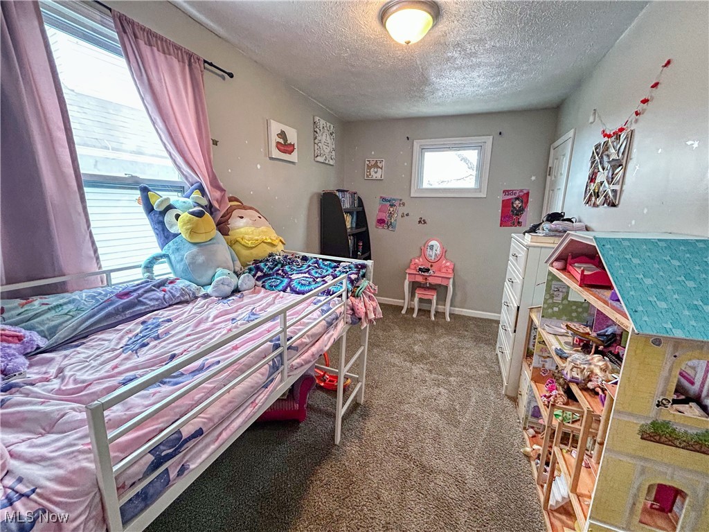 225 Cleveland Street, Elyria, Ohio image 15