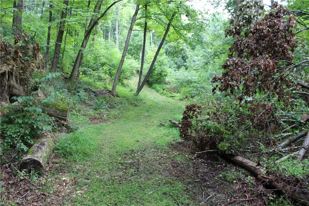 Slaughter Hill Rd, Cambridge, Ohio image 3