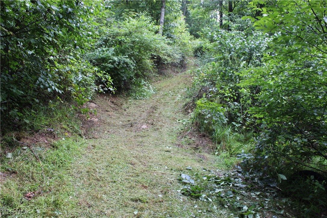 Slaughter Hill Rd, Cambridge, Ohio image 7