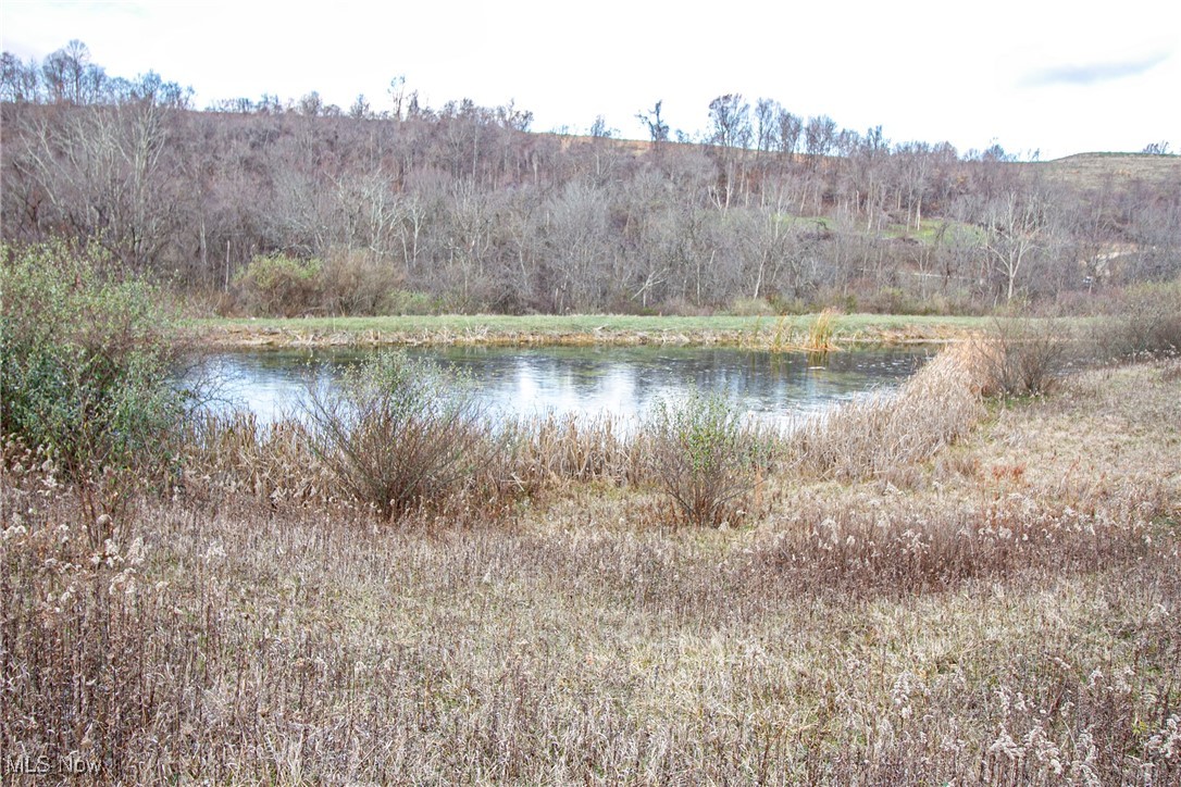 Tract 2 Whiskey Run Road, Quaker City, Ohio image 33