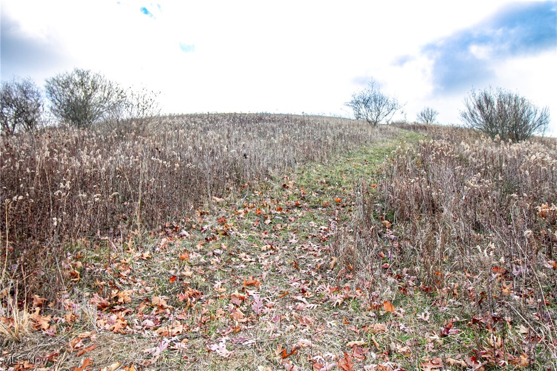 Tract 2 Whiskey Run Road, Quaker City, Ohio image 35