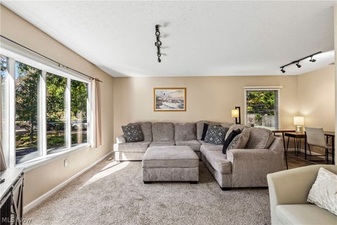 Tiny photo for 9001 Elm Street, Mentor, OH 44060 (MLS # 5255530)