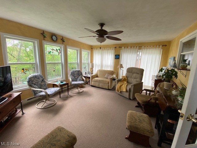 219 Sarah Boulevard, Toronto, Ohio image 9