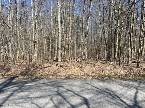 Vacant Land For Sale - 2107 N Park Lane<br/> Ashtabula County, Roaming Shores, OH 44084
