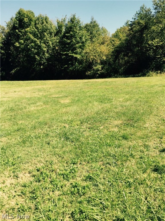 Almost 12 acres of beautiful land waiting to be developed to meet your needs. 4.03 C-O/R Commercial District of Copley Township. Existing gas & oil well near edge of property. Mineral Rights may transfer to new owner. Property abuts Akron General Hospice across from Fairlawn Park and Common Gardens. Area of newer office buildings, churches, various businesses. Close to highways, Montrose, Fairlawn.