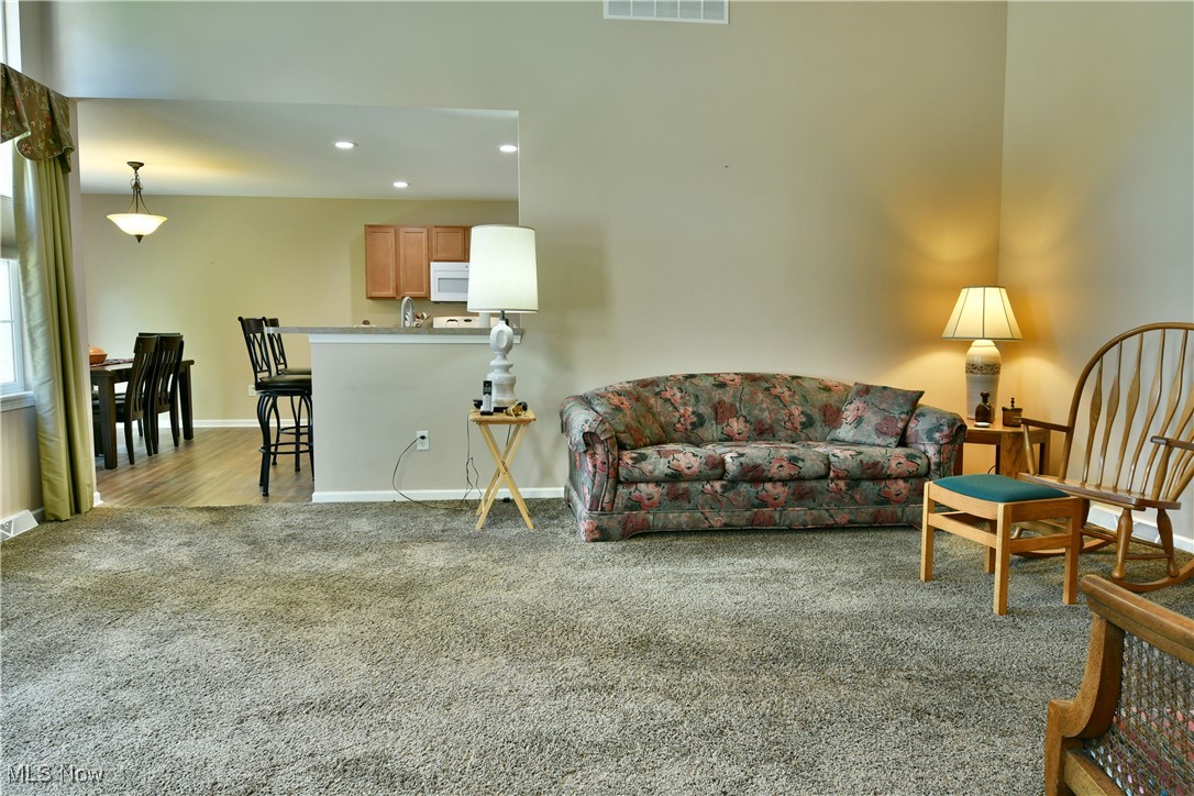 Villas At Spring Lake Condo - Residential