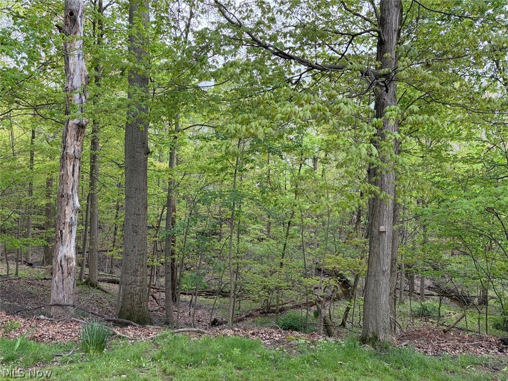Spring Vly Land Companys - Residential