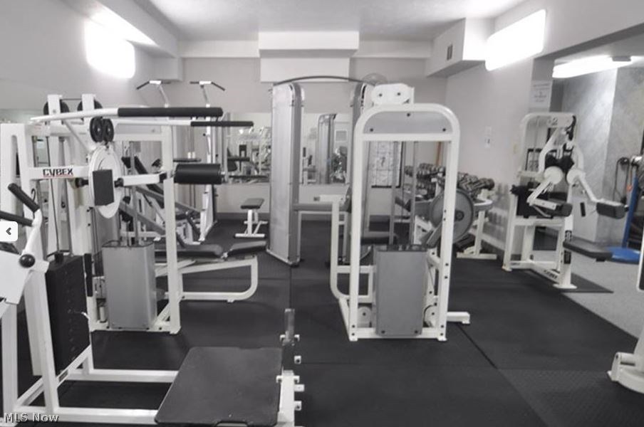 Carlyle Condo - Residential Lease