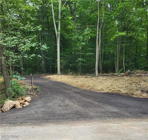 Vacant Land For Sale - 13561 Colony Lane<br/> Geauga County, Burton, OH 44021