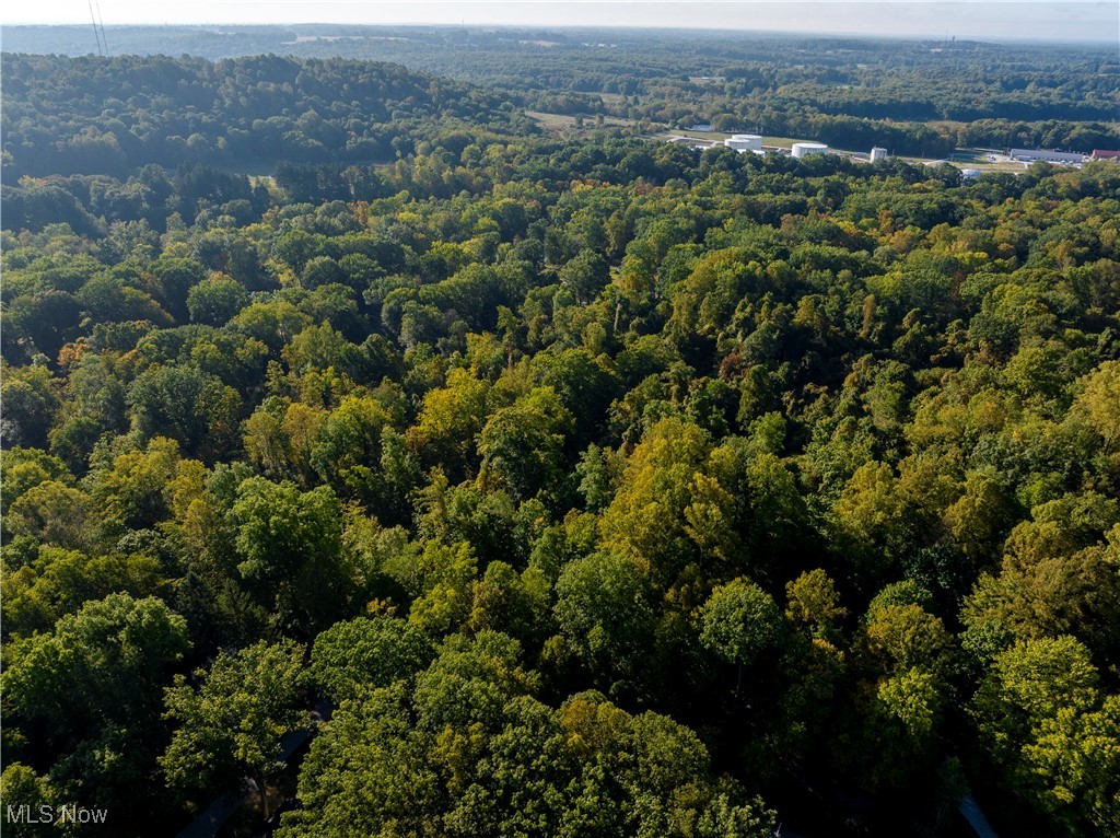 V/L Coldbrook Drive, Mantua, Ohio image 3